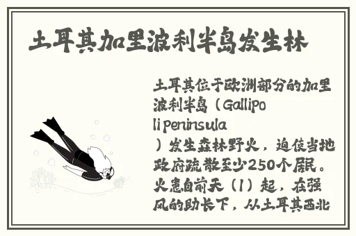 泷泽萝拉种子qvod